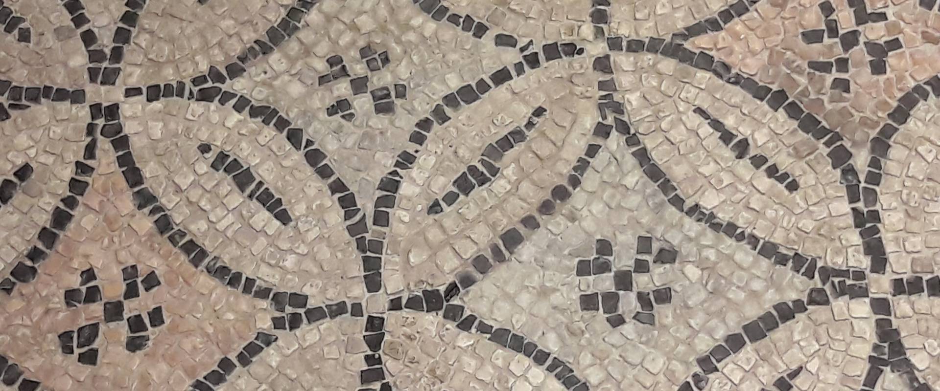 Ravenna - Domus tappeti di pietra - Dettaglio 1 foto di Ysogo